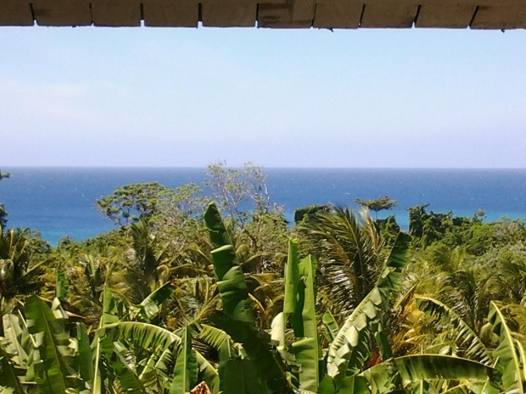 Rio Vista Resort Port Antonio Buitenkant foto