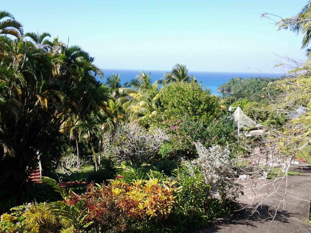 Rio Vista Resort Port Antonio Buitenkant foto